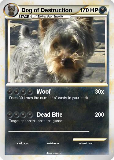 Pokemon Dog of Destruction