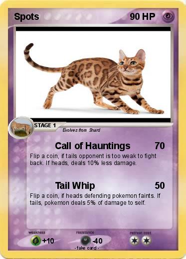 Pokemon Spots