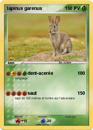 Pokemon lapinus garenus