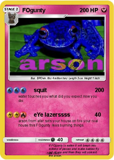 Pokemon FOgunty