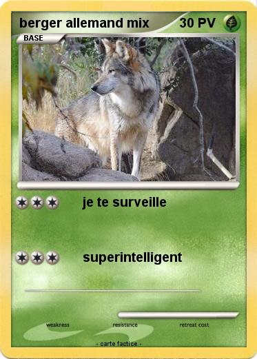 Pokemon berger allemand mix