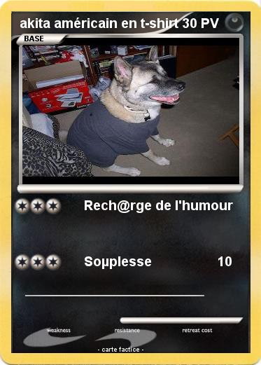 Pokemon akita américain en t-shirt