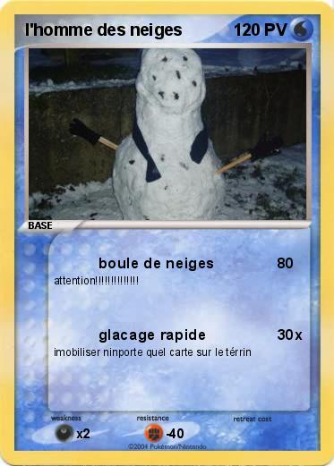 Pokemon l'homme des neiges