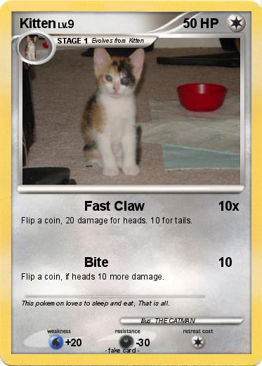 Pokemon Kitten