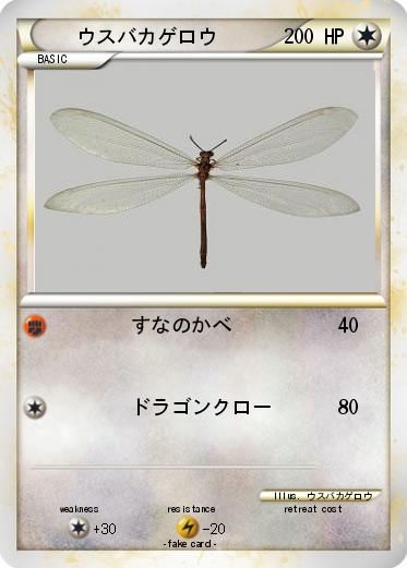 Pokemon ウスバカゲロウ