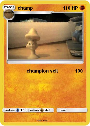 Pokemon champ