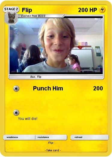 Pokemon Flip