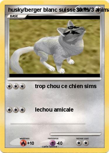 Pokemon husky/berger blanc suisse sims 3 animaux & cie PC