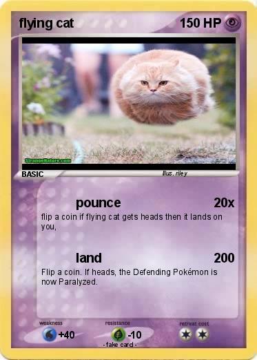 Pokemon flying cat