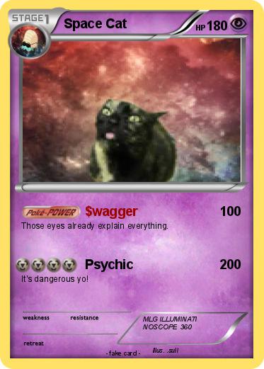 Pokemon Space Cat
