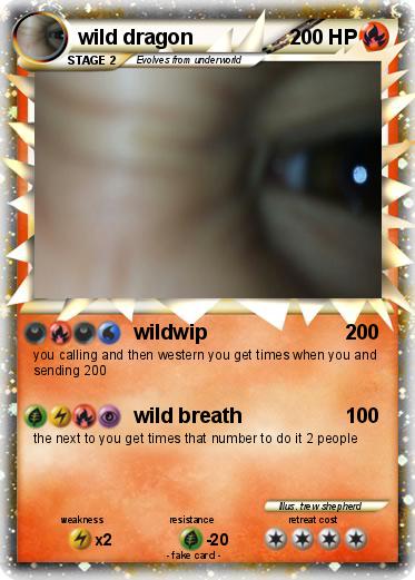 Pokemon wild dragon