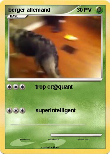 Pokemon berger allemand