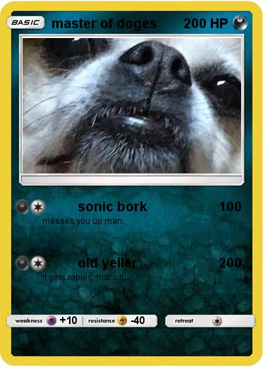 Pokemon master of doges