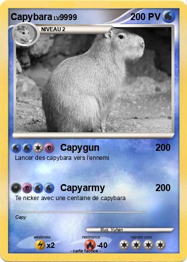 Pokemon Capybara