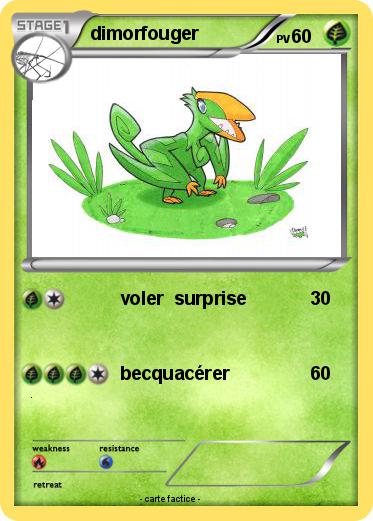 Pokemon dimorfouger