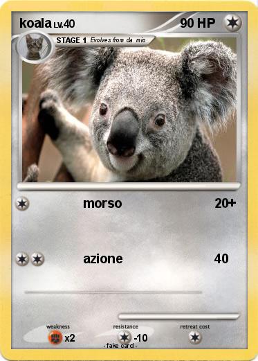Pokemon koala