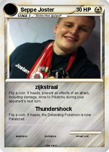Pokemon Seppe Joster