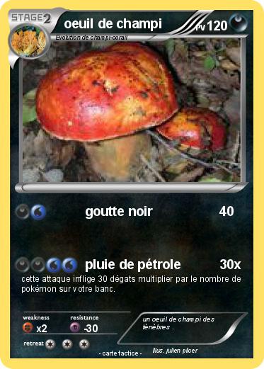Pokemon oeuil de champi