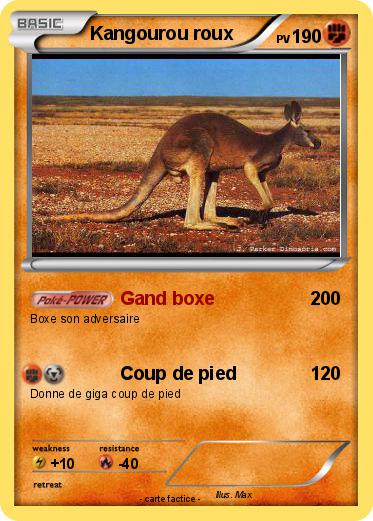 Pokemon Kangourou roux