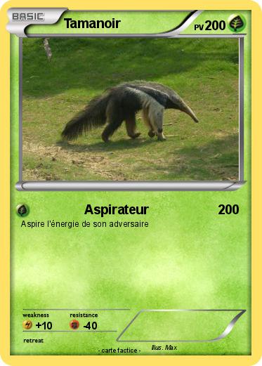 Pokemon Tamanoir