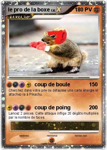 Pokemon le pro de la boxe