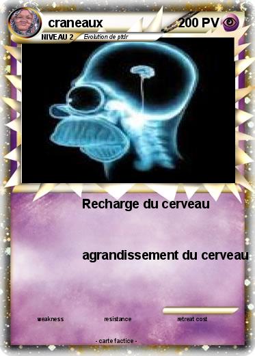 Pokemon craneaux