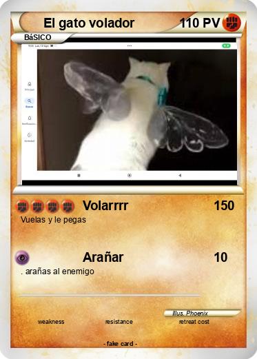 Pokemon El gato volador