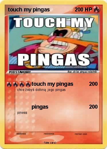 Pokemon touch my pingas
