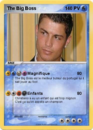 Pokemon The Big Boss