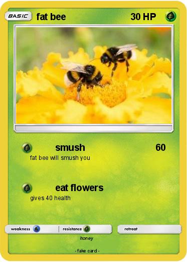 Pokemon fat bee