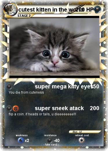 Pokemon cutest kitten in the world