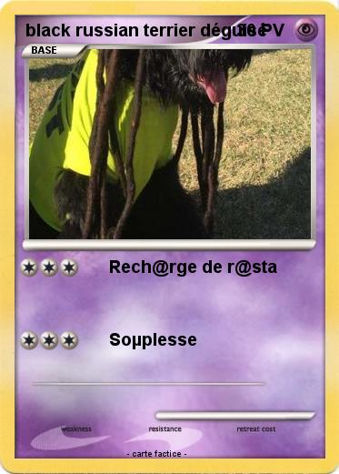 Pokemon black russian terrier déguisé