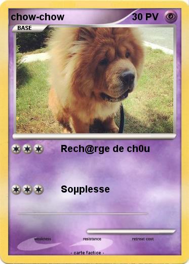 Pokemon chow-chow
