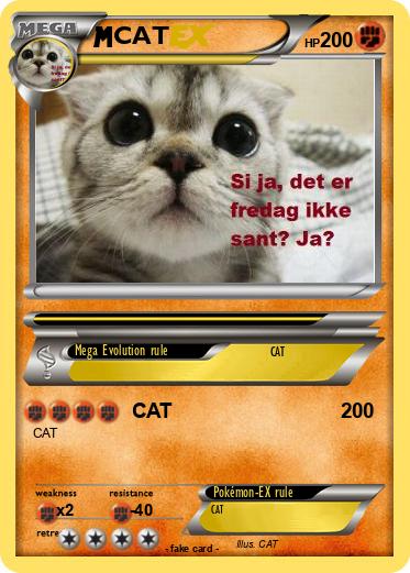 Pokemon CAT