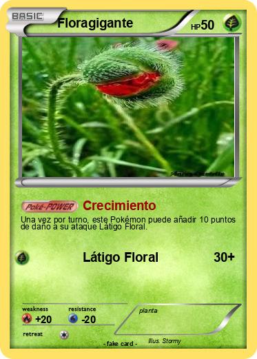 Pokemon Floragigante