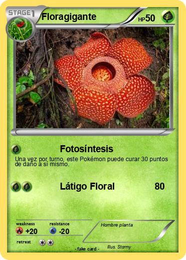 Pokemon Floragigante