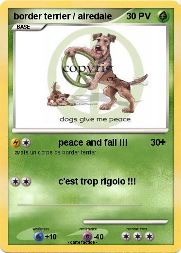 Pokemon border terrier / airedale