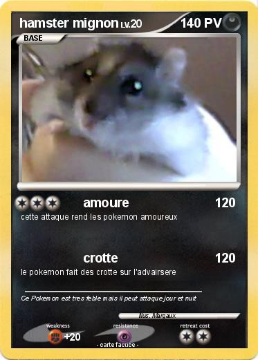 Pokemon hamster mignon