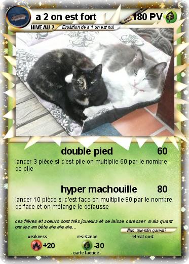 Pokemon a 2 on est fort