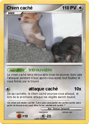 Pokemon Chien caché