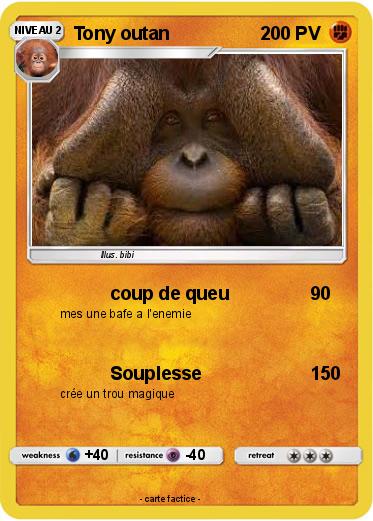 Pokemon Tony outan