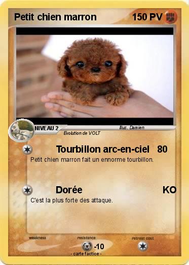 Pokemon Petit chien marron