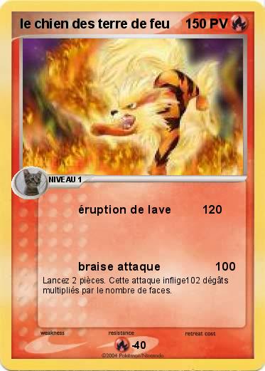 Pokemon le chien des terre de feu