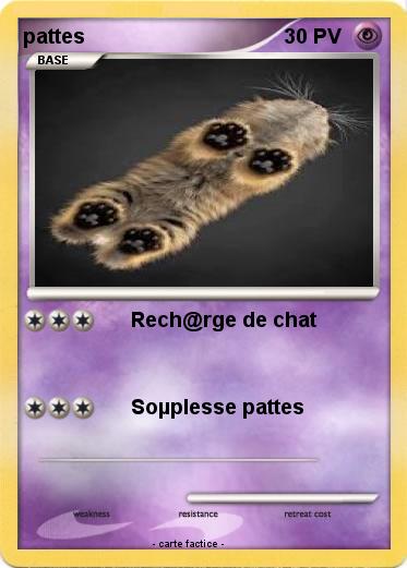 Pokemon pattes