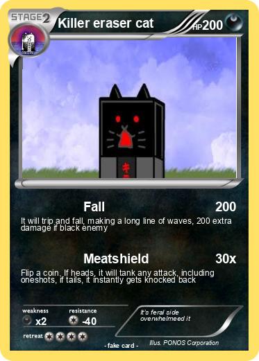 Pokemon Killer eraser cat