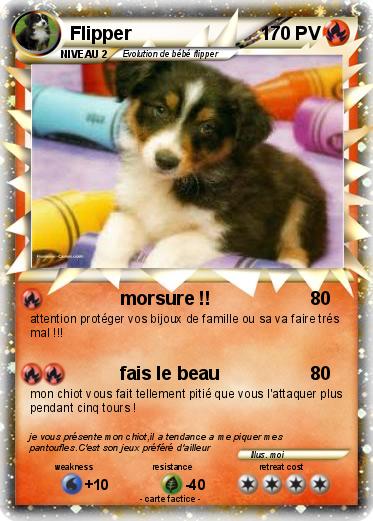 Pokemon Flipper