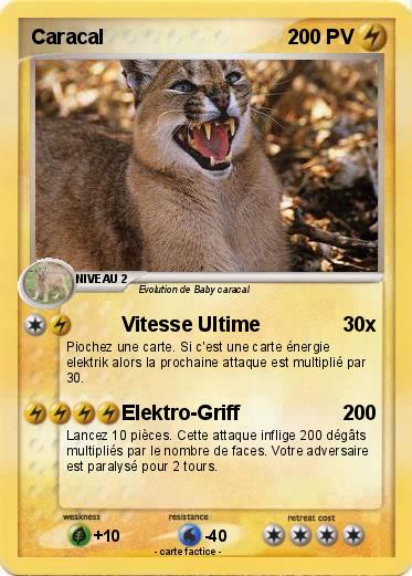 Pokemon Caracal