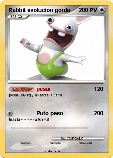 Pokemon Rabbit evolucion gorda