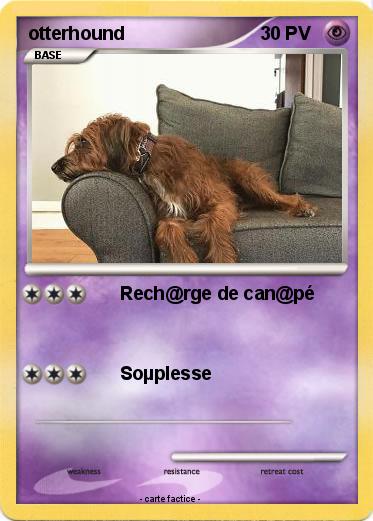 Pokemon otterhound