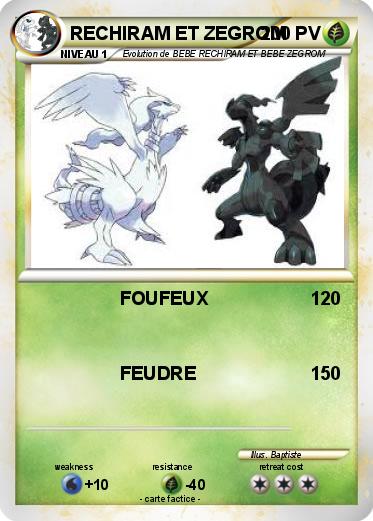 Pokemon RECHIRAM ET ZEGROM